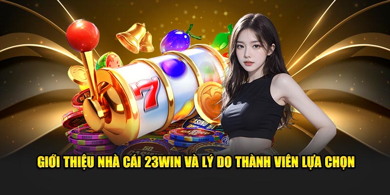 Lý do nên lựa chọn 23win