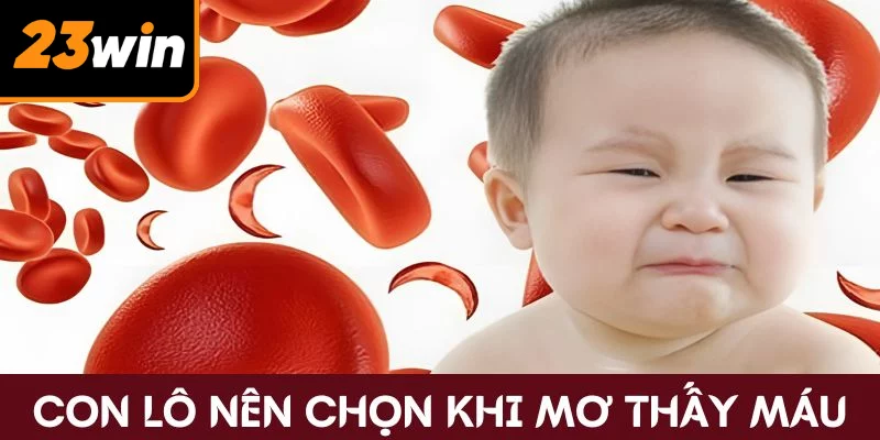 Con lô nên chọn khi mộng thấy máu 