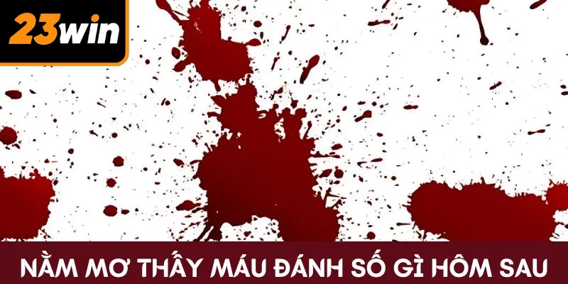 Nằm Mơ Thấy Máu Đánh Số Gì - Điềm Báo Tốt Hay Xấu?