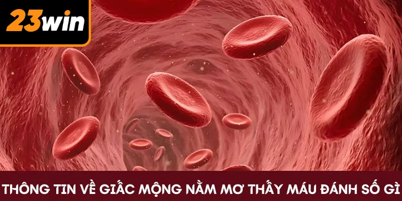 Thông tin về giấc mộng nằm mơ thấy máu đánh số gì