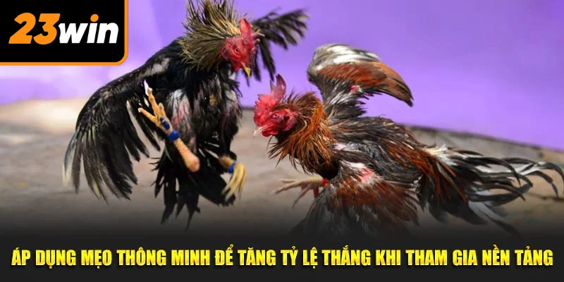 Áp dụng mẹo thông minh để tăng tỷ lệ thắng khi tham gia nền tảng