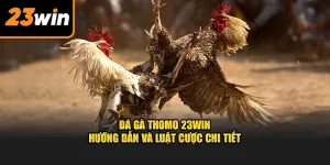 Đá gà Thomo tại 23win
