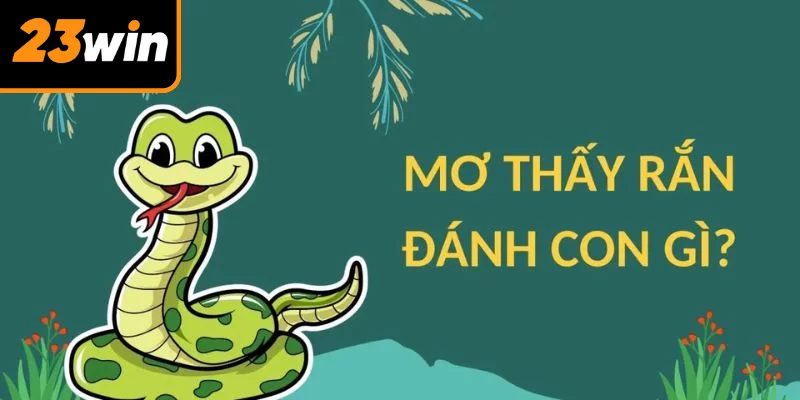 Giải đáp thắc mắc nằm mơ thấy rắn đánh số gì
