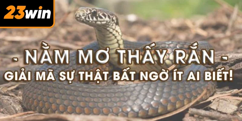 Giấc mộng về rắn xuất phát từ nhiều nguyên do khác nhau