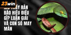 Nằm Mơ Thấy Rắn Đánh Số Gì, Luận Giải Thế Nào?