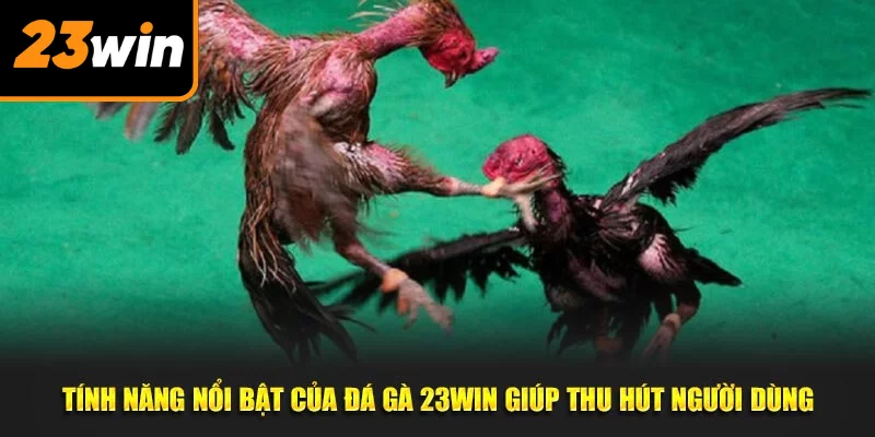 Tính năng nổi bật của đá gà 23WIN giúp thu hút người dùng
